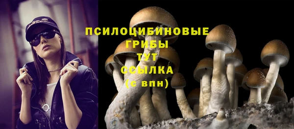 СК Алексин