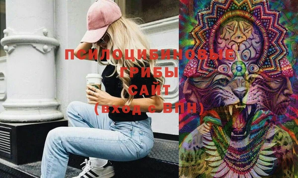 дмт Алексеевка