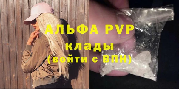 СК Алексин